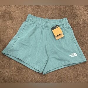 The North Face shorts